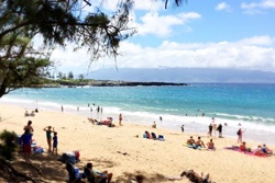 D.T. Fleming Beach Park, dog parks in maui, maui dog parks