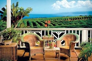 Ka'anapali Coffee Farms, Kaanapali things to do, fun in West Maui, Ka'anapali things to do adventures, Maui attractions