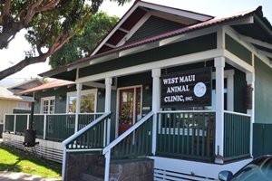 West Maui Animal Clinic, vets in Maui, West Maui veterinarians, vets near Ka'anapali, Hawaii