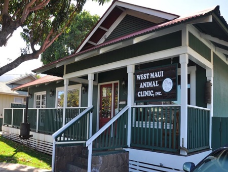 West Maui Animal Clinic, vets in Maui, West Maui veterinarians, vets near Ka'anapali, Hawaii